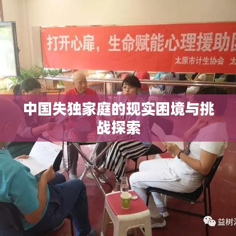 中国失独家庭的现实困境与挑战探索