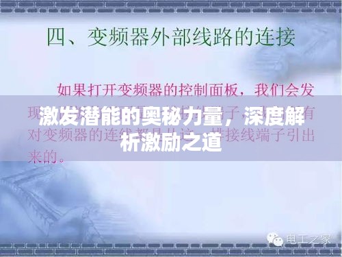 激发潜能的奥秘力量，深度解析激励之道