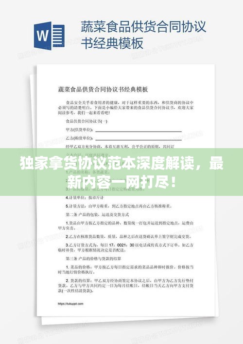 独家拿货协议范本深度解读，最新内容一网打尽！
