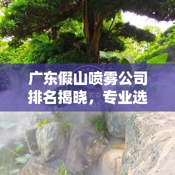 广东假山喷雾公司排名揭晓，专业选择，优质推荐！