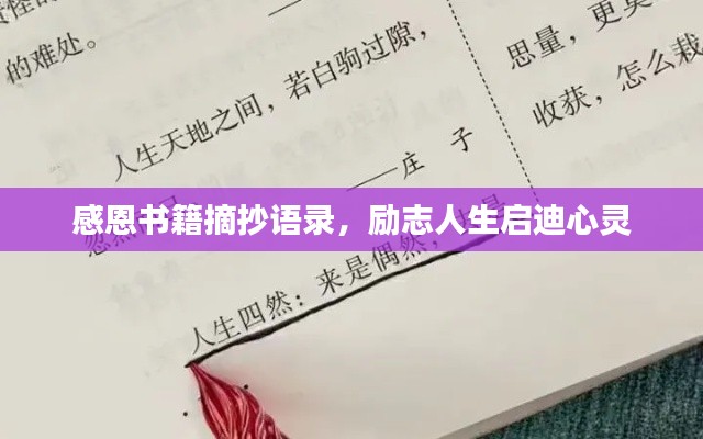 感恩书籍摘抄语录，励志人生启迪心灵