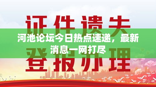 河池论坛今日热点速递，最新消息一网打尽