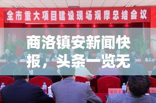 商洛镇安新闻快报，头条一览无余