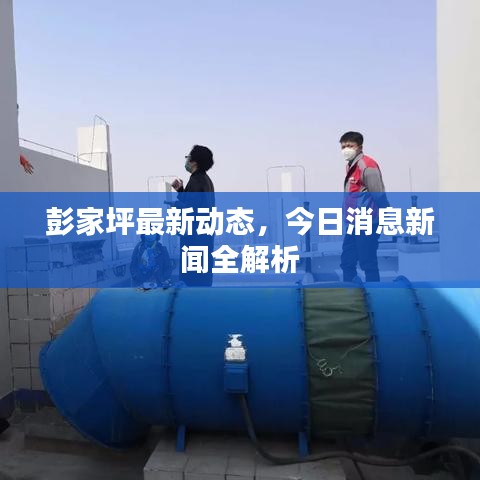 彭家坪最新动态，今日消息新闻全解析