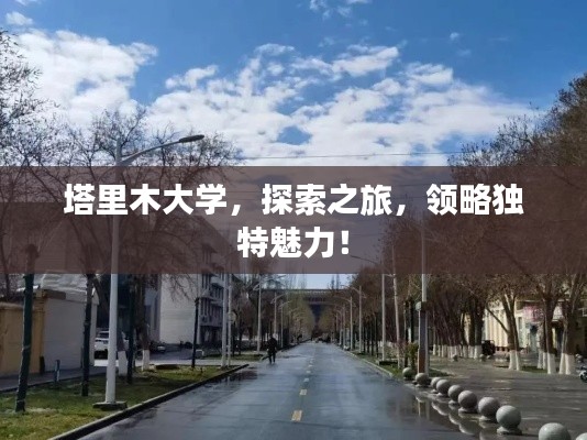 塔里木大学，探索之旅，领略独特魅力！