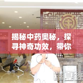 揭秘中药奥秘，探寻神奇功效，带你领略中药的魅力世界