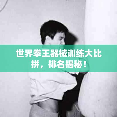 世界拳王器械训练大比拼，排名揭秘！