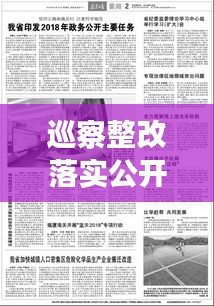 巡察整改落实公开，开启政务透明化的新篇章