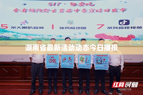 物稀为贵 第2页