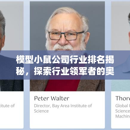 模型小鼠公司行业排名揭秘，探索行业领军者的奥秘与洞察