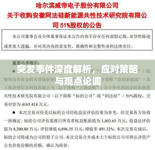 突发事件深度解析，应对策略与观点论调
