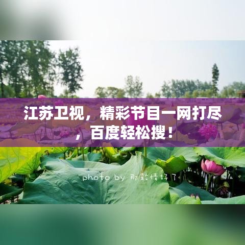 江苏卫视，精彩节目一网打尽，百度轻松搜！