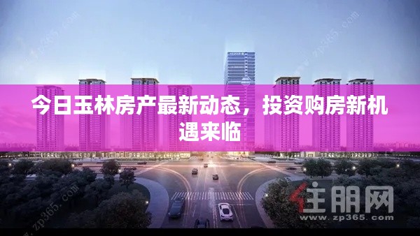 尘土飞扬 第2页
