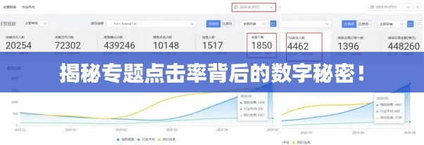 揭秘专题点击率背后的数字秘密！