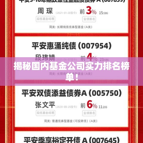 揭秘国内基金公司实力排名榜单！