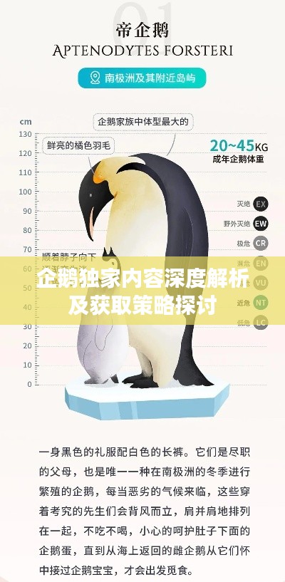 文贵天成 第2页