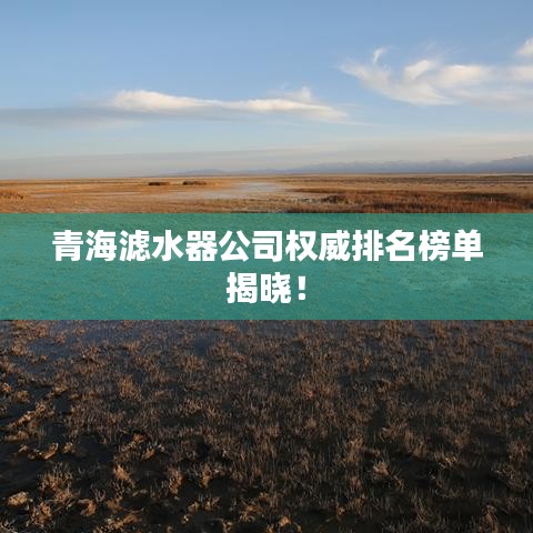 计日程功 第2页