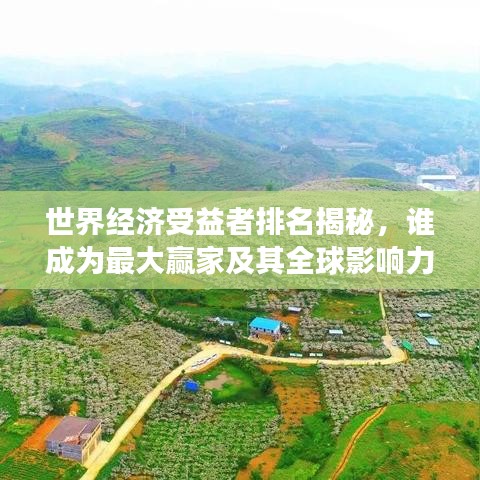 世界经济受益者排名揭秘，谁成为最大赢家及其全球影响力解读