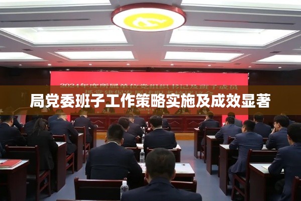 局党委班子工作策略实施及成效显著