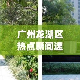 广州龙湖区热点新闻速递