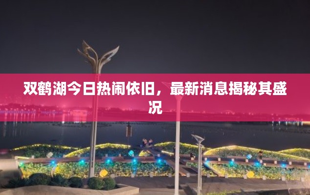 双鹤湖今日热闹依旧，最新消息揭秘其盛况