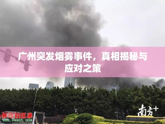 广州突发烟雾事件，真相揭秘与应对之策