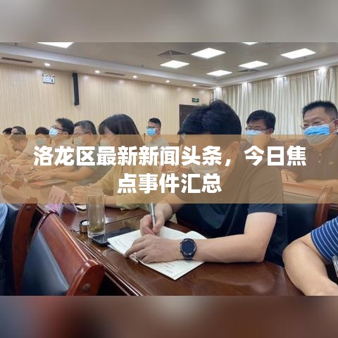 洛龙区最新新闻头条，今日焦点事件汇总