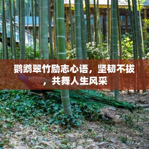 东张西望 第2页