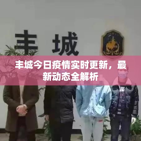 丰城今日疫情实时更新，最新动态全解析