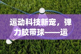 运动科技新宠，弹力胶带球——运动与科技的完美融合