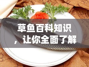 草鱼百科知识，让你全面了解这种美味的水产！