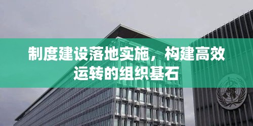 制度建设落地实施，构建高效运转的组织基石