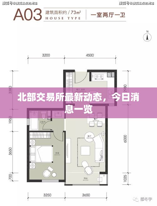 北部交易所最新动态，今日消息一览
