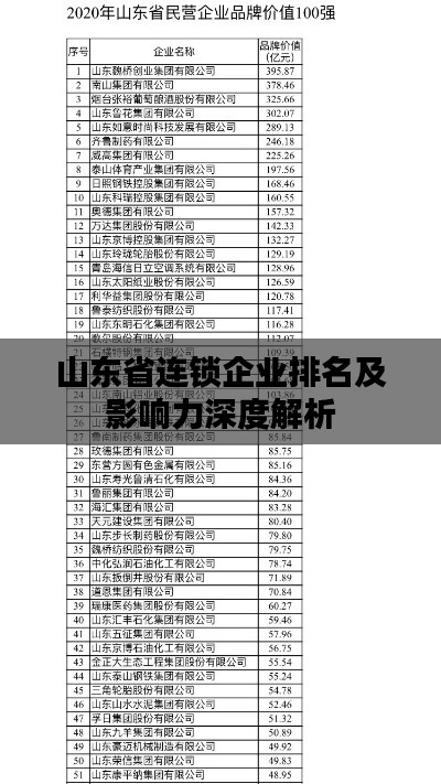 山东省连锁企业排名及影响力深度解析