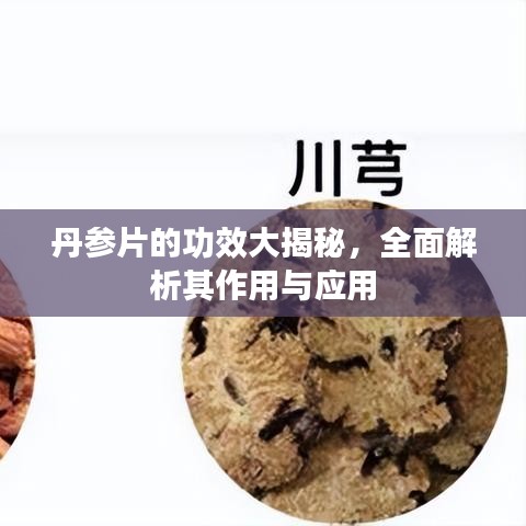 丹参片的功效大揭秘，全面解析其作用与应用