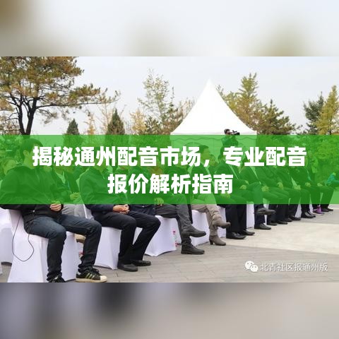 揭秘通州配音市场，专业配音报价解析指南
