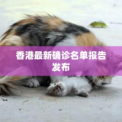 香港最新确诊名单报告发布