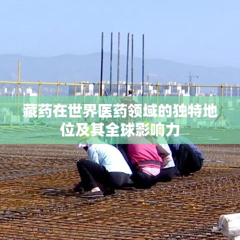 藏药在世界医药领域的独特地位及其全球影响力