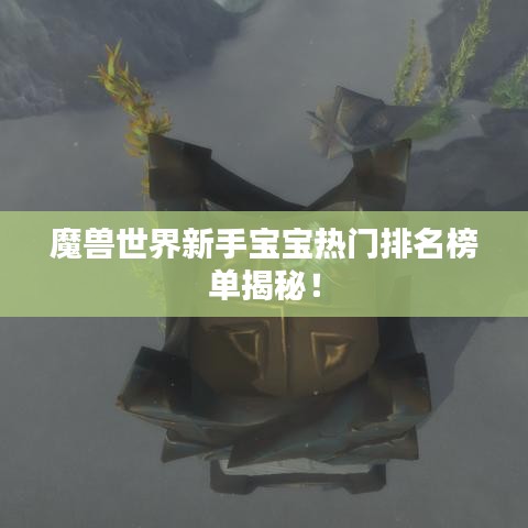 魔兽世界新手宝宝热门排名榜单揭秘！