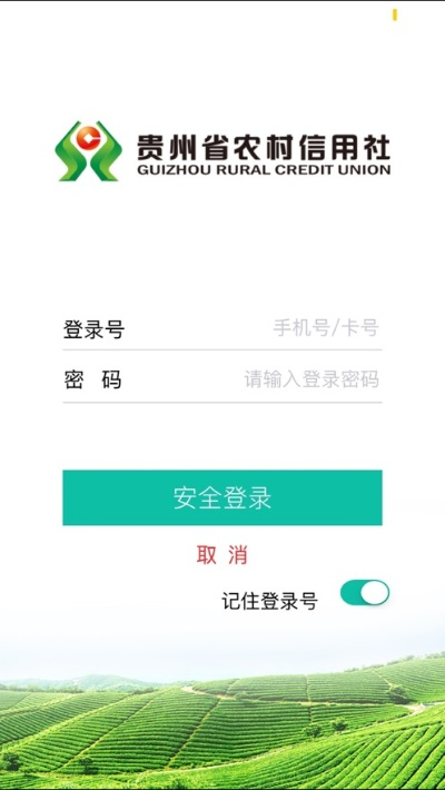 纲举目张