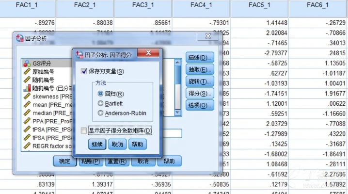 手机怎么查系统版本,定量分析解释定义|钻石版_v4.387
