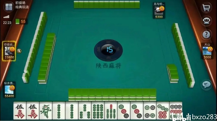 专业级工具解析，闲来陕西麻将旧版本，实效策略解析_pack_v8.916