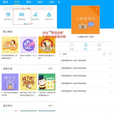 懒人英语官方下载,动态分析解释定义_eShop1_v4.913