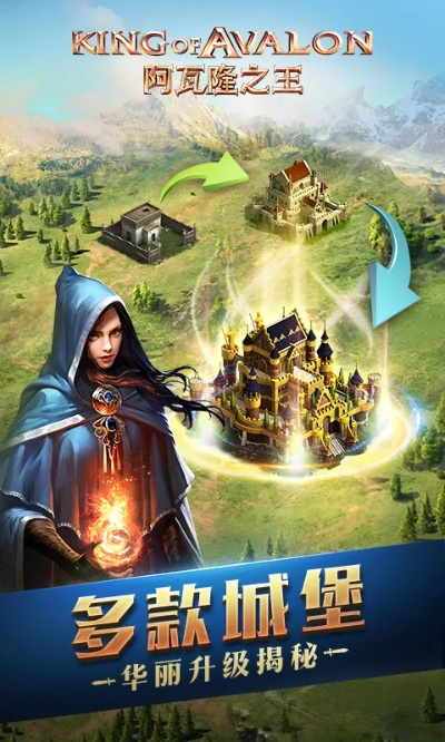 阿瓦隆官方下载,快速方案执行_桌面款1_v8.224