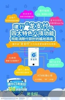 龙支付官方下载APP,可靠操作策略方案_超值版_v2.286
