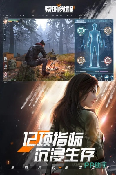 黎明觉醒单机版及音速冲击官方下载,持久设计方案策略_专业款_v9.836