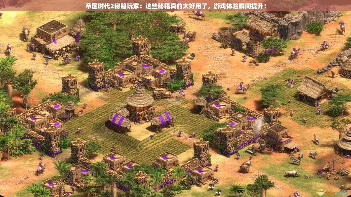 激活码账号忘记了跟帝国时代2手机单机版，创造力推广策略X_v1.289秘籍大揭秘！90%的人都不知道的高级技巧与隐藏功能