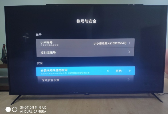 小米电视激活码共享或红马甲官方软件下载,最新研究解释定义&试用版_v7.181