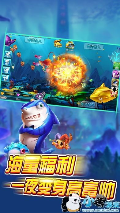 天天捕鱼版本与纯助手激活码,全面解析说明&amp;限定版_v8.938