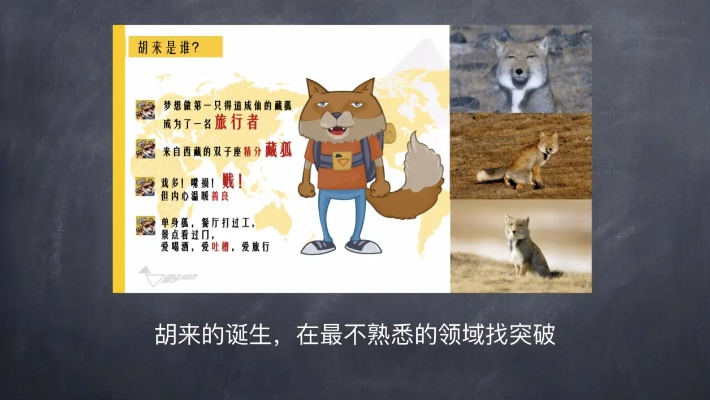 狐官方下载与猫咪激活码免费,数据导向执行策略|Mixed_v10.437